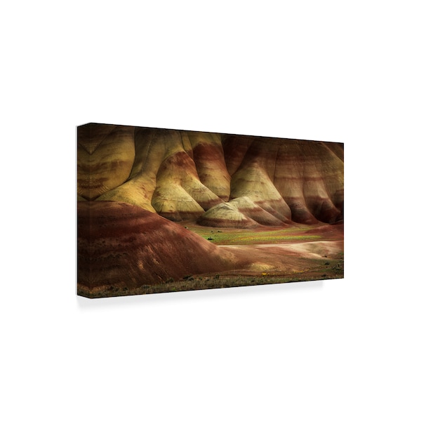 Shenshen Dou 'Painted Hills In Spring' Canvas Art,12x24